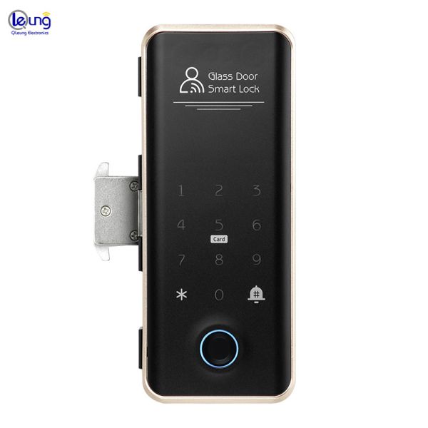 Вилла Face ID Smart Lock ROHS Автоматический дверной замок для квартиры
