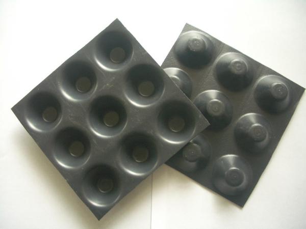 Onsite Training Included 8-30mm HDPE Dimpled Plastic Drainage Sheet for Waterproofing