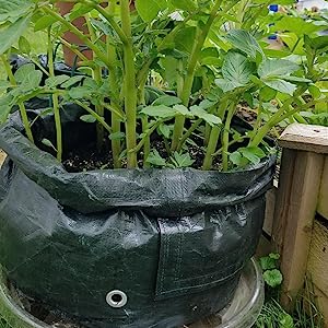 Potato Grow Bags, 4 Pack 10 Gallon With Flap And Handles Planter Pots For Onion, Fruits, Tomato, Carrot - Green