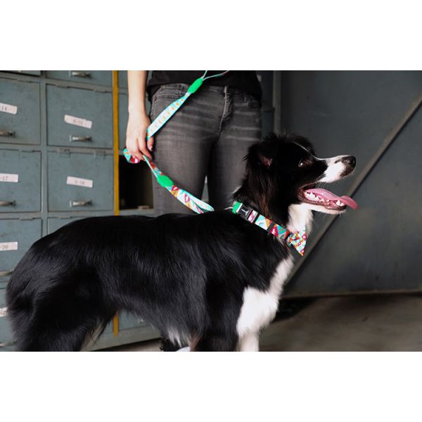 3.66m 12 Foot Anti Pull Dog Leash No Pull Lead For Dogs