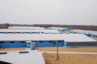 Galvanized Steel Structure Poultry House GB Standard