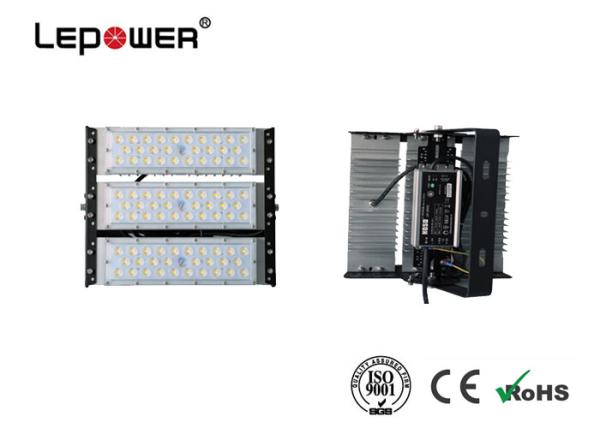 Customized Large LED Flood Lights 120W , High Luminous Efficiency LED Garden Flood Lights