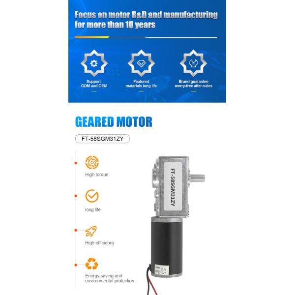 DC 12V24V 100Kg High-torque Worm Reducer Geared Motor