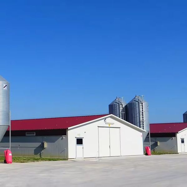 Prefab Steel Structure Chicken House for Poultry Farm Chicken Shed Metal Farm Shed Building