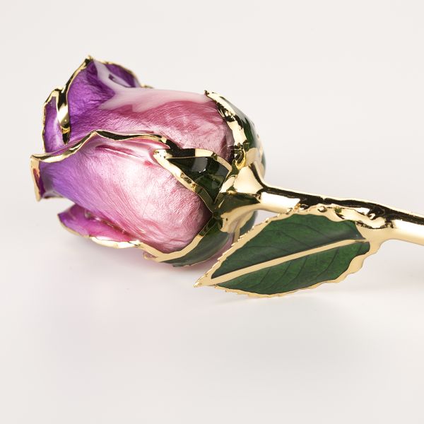 Gold Plated Rose Fresh Preserved Flower Gold Plated 24k Gold Plated Rose Eternal Roses Flower Mother's Day