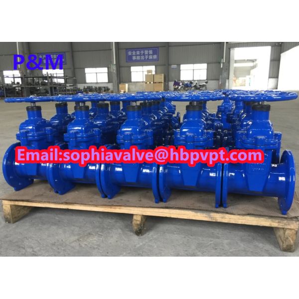 DIN3352 resilient seal cast iron gate valve