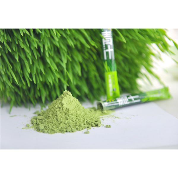 Delicious Health Green Juice Aojiru Green Barley Powder 3gx15 Packs