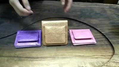 bolso EN17 da moeda das mulheres do titular do cartão do plutônio do bloco de 10.5x10CM Opp