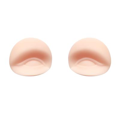 pele permanente da prática da composição do silicone do módulo 4D para a formação das sobrancelhas da tatuagem