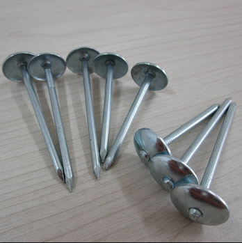 BWG9 Smooth Shank Hot Dipped Galvanized Roofing Nails