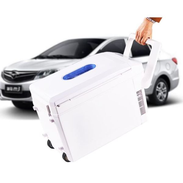 0.35 Cubic Feet 10 Litre Mini Fridge 12V For Vehicle