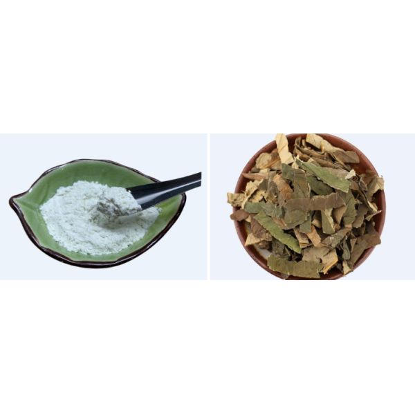 Medicinal Lotus Flower Extract 10% 50% 98% Nuciferine Powder Stimulate Digestion