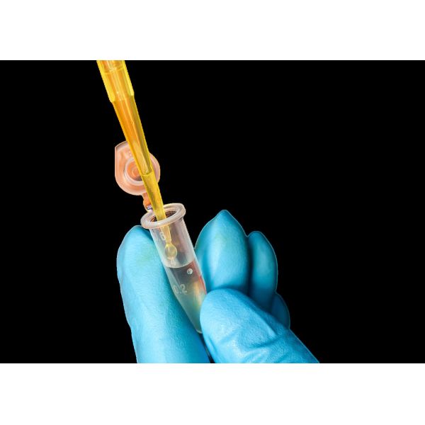 Тест-карта витамина В12 для быстрого количественного анализа по пищевому метаболизму Ввхс