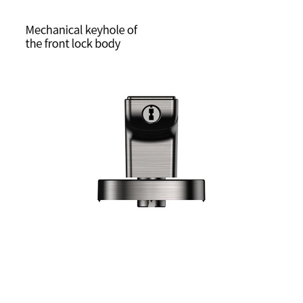 Tuya Smart Lock Fingerprint Password Key Durable Aluminum Alloy Construction Auto Lock Easy Installation Door Lock