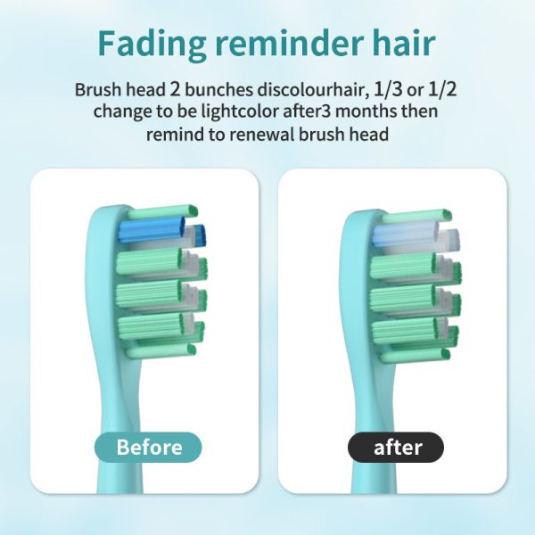 Sonic Power Rechargeable Electric Toothbrush 1500mAh For Travel