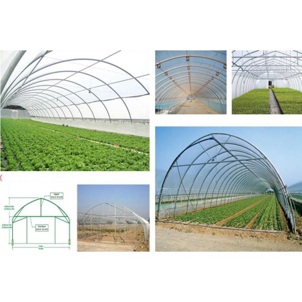 Single Span Plastic Film Agricultural Greenhouses For Madical Plants