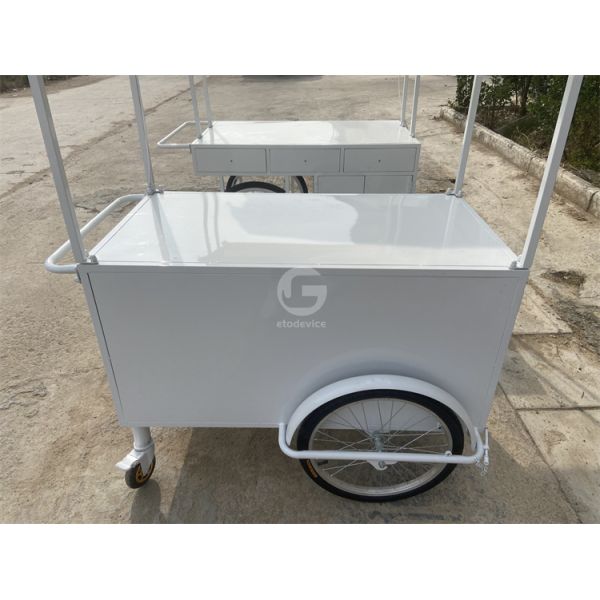 Small Portable Electric cart Cold Plate Push Umbrella Outdoor Mini Wheel Supermarket  Cart