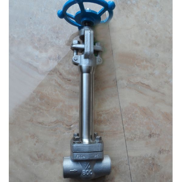 pressure 800LB ANSI standard forged globe valve