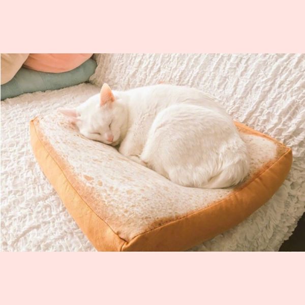 Soft Feeling Cotton Seat Cushion , Cute Chair Cushions 50 * 40 * 15CM