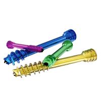 Fragmento pequeno Herbert Headless Cannulated Screws Class III