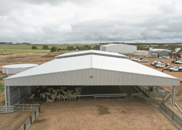 Open Wall Designed Clear Span High Rise Prefabricated Steel Hall Warehouse Shed