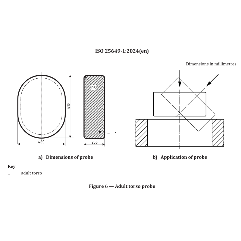 EN ISO 25649-1 Adult Torso Probe