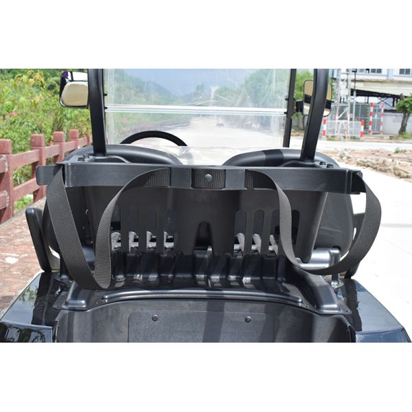 Convenient Electric Golf Buggy Italy Graziano Axle 12/1 Trojan Battery