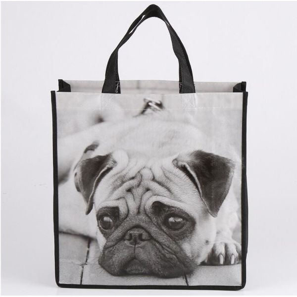 Не сплетенный изготовитель Филиппины сумок/сумки Индии/kolkata сплетенные PP повторно используя biodegradable сплетенные сумки, bagease, пакет, PA