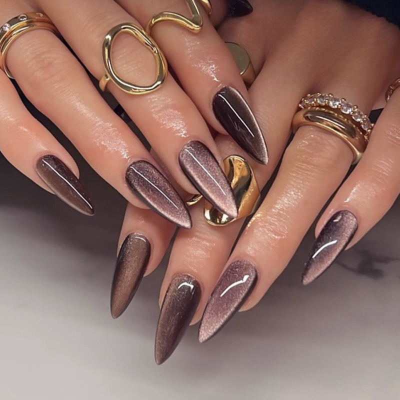 Glossy Finish Long Stiletto Cat Eye False Nails Private Label Service