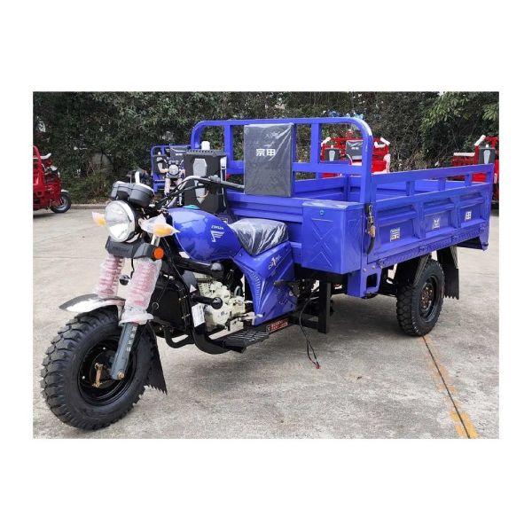 300cc Gasoline Motorized Tricycle for Adult Riders Rear Suspension 8 Leaf Springs