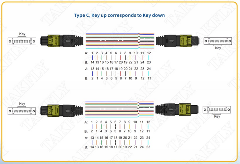 Customized MPO/MTP-MPO/MTP Patch Cord Low Insertion Loss 3.0mm Male Female