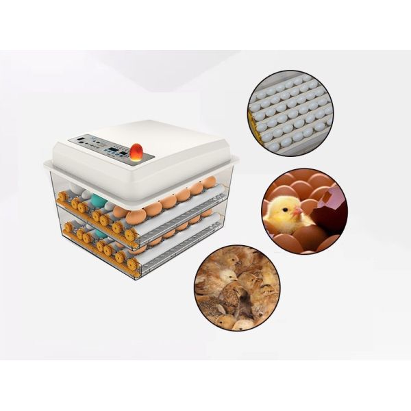 Automatic Eggs Incubator Machine for Poultry Egg Hatching in Shanghai or Nanjing
