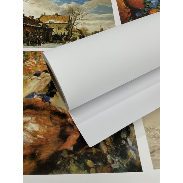 Aqueous Waterproof Inkjet Printing Matte Adhesive Polyester Canvas Roll