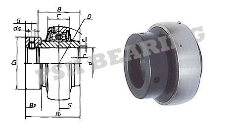 OEM Service UEL209 390509 Insert Bearing Harvester Bearing Gcr15 Chrome Steel