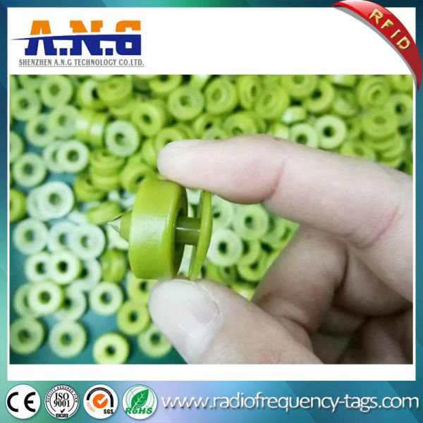Yellow Read LF TPU Rfid Animal Tags,Cow / Sheep / Cattle Ear Tags Custom Chip