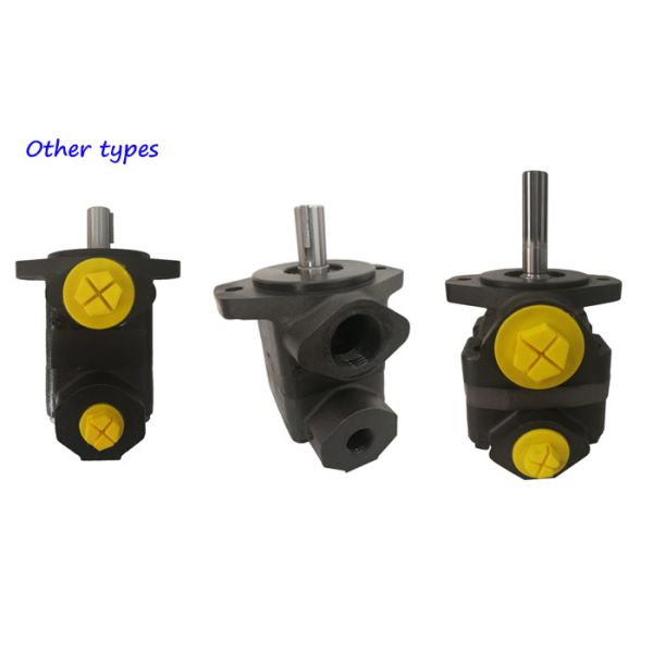 Насос с зубчатой передачей Викерс В10 литого железа замены гидравлический определяет гидравлический насос лопасти