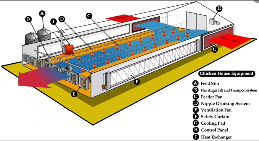 High Strength PP Poultry Pan Feeding System Anti Waste Design For Broiler Production