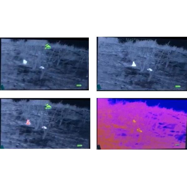 Ночного видения датчика WIFI UFPA цифров объем термального Monocular для звероловства