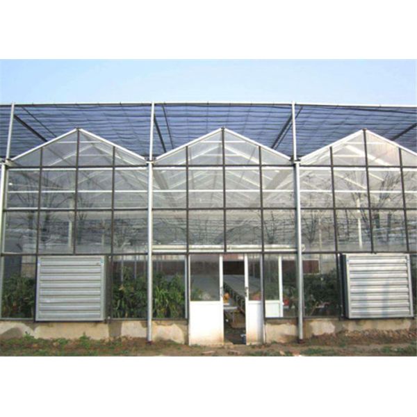 4mm / 5mm Glass Covering Glass Greenhouse Kit , Forest Garden Greenhouse For Seed Breeding
