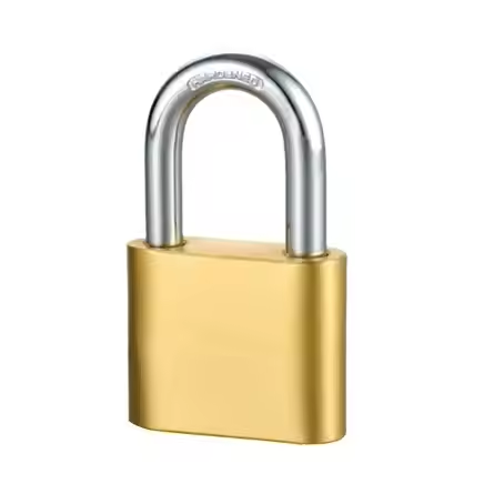Rarlux Trendy Style Solid Padlock Anti-theft Hardened Steel Shackle Sprung Brass Padlock