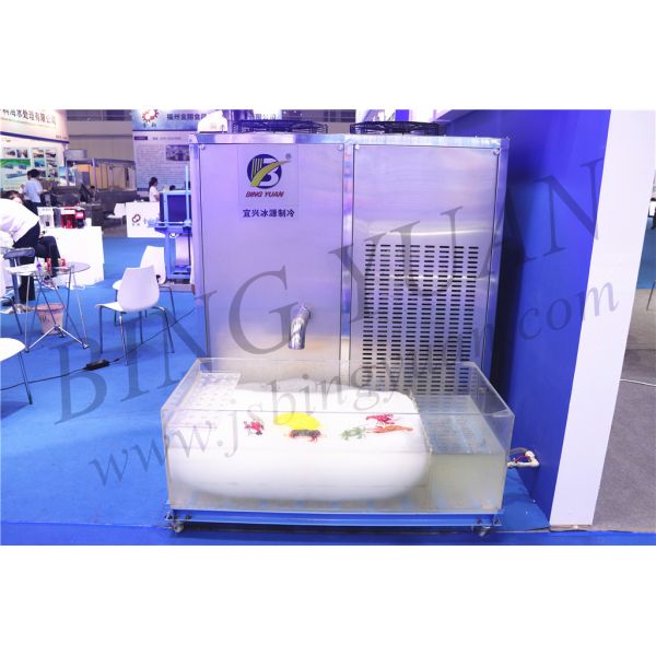 Yixing ICS Refrigeration High Quality, Low price Direct System Block Ice Machine 1 ton/24 h