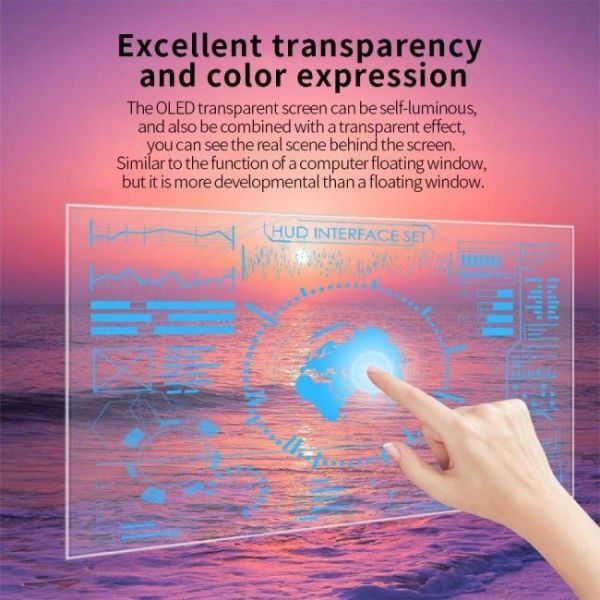 55 Inch Transparent OLED 2K HD Desktop Horizontal Capacitive Touchscreen Transparent OLED Display
