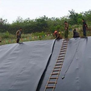 Seam Strength≥ 15 MPa HDPE Geomembrane Liners Featuring Good Flexibility at Low Temperatures and Puncture Resistance≥200N Ideal for Industrial Applications