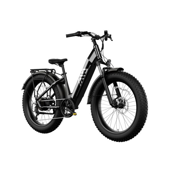 F622 48V Electric Hybrid Mountain Bike Steel Frame Electric Road Bike 7 Speed Rear Hub Motor Lithium Battery 1200W Brushless