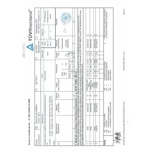 Cangzhou Authentic PIPE-FITTING Manufacturing Co., Ltd. Сертификации