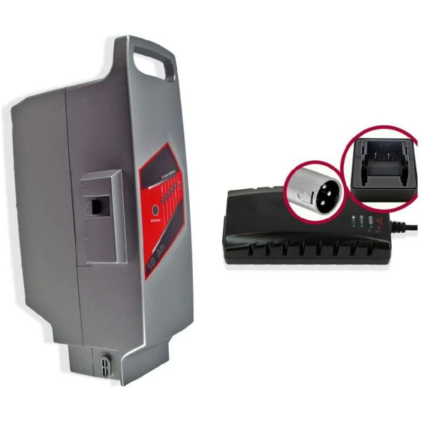 Система Panasonic Эбик 25.2V 23.2ah 585W Заменяющая батарея Рали Э-Бик батарея Фиет Accufahrrad Akkuakku Fur Elektrofahrrad Силовой пакет Литийная батарея