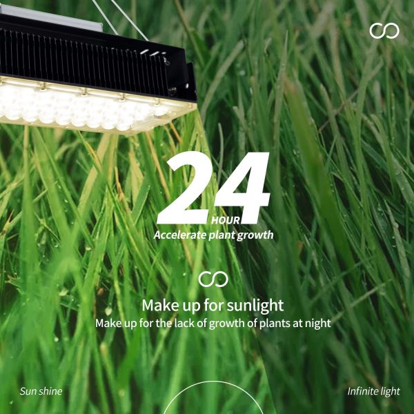 100w Внутренний 5x5 Растительный свет для внутренних садовых сочных растений SMD3030