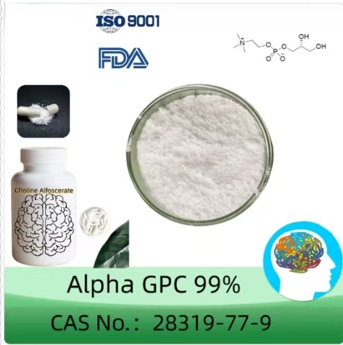 Alpha GPC Powder Choline Glycerophosphate CAS 28319-77-9 99% Purity