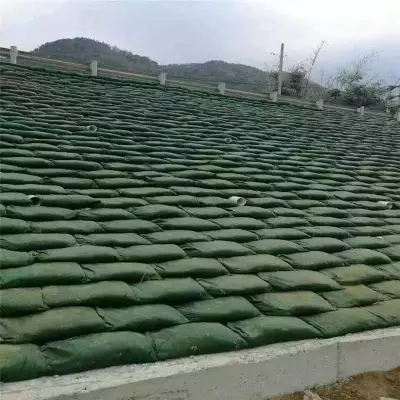 Geobag Bolsa de arena de geotextil no tejida para la protección del medio ambiente Material respetuoso con el medio ambiente