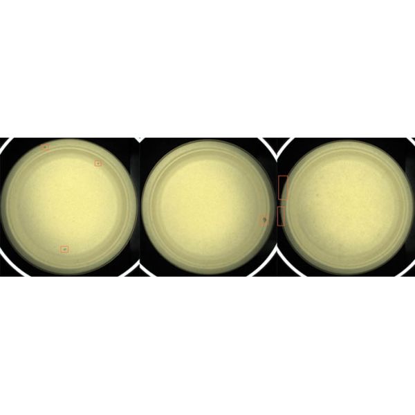 AI Visual Inspection Machine for Pulp Molding Bagasse Round Plate